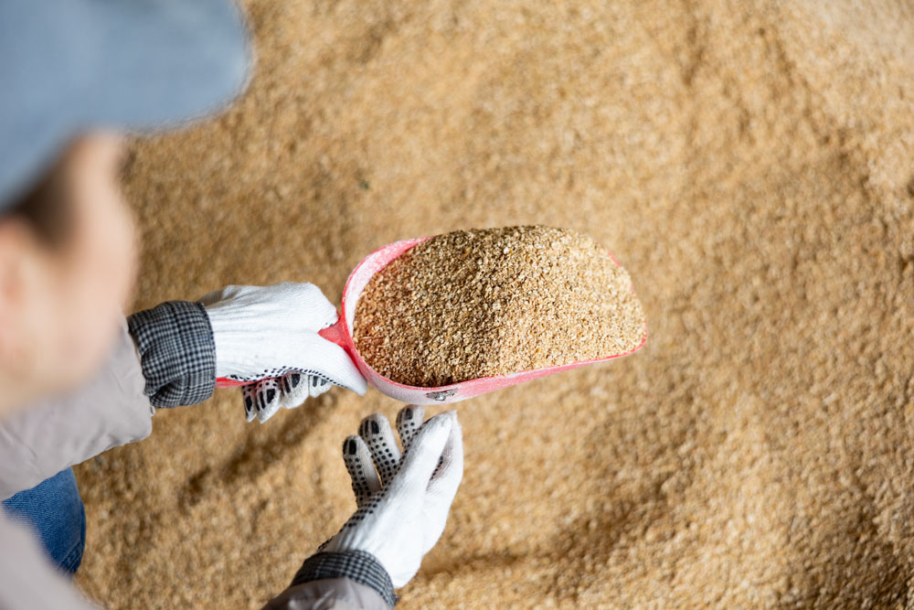Worker handling a scoop of grain feed